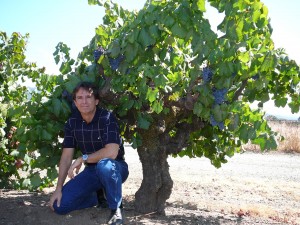 Michael in Napa Valley